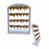 PENDIENTES 12/P ED-063 NS