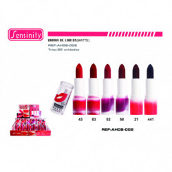 B.LABIOS MATTE 6H C/TESTER...
